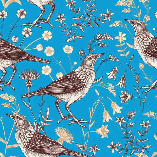 夏天的背景花的无缝图案的颜色 野花和鸟类矢量图解的草图风格 适用于纺织品 包装纸 包装材料 织物等 — 图库矢量图片