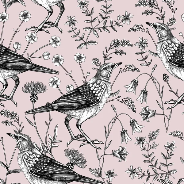 Sommarbakgrund Blommigt Sömlöst Mönster Vildblommor Och Fåglar Vektor Illustration Skiss — Stock vektor