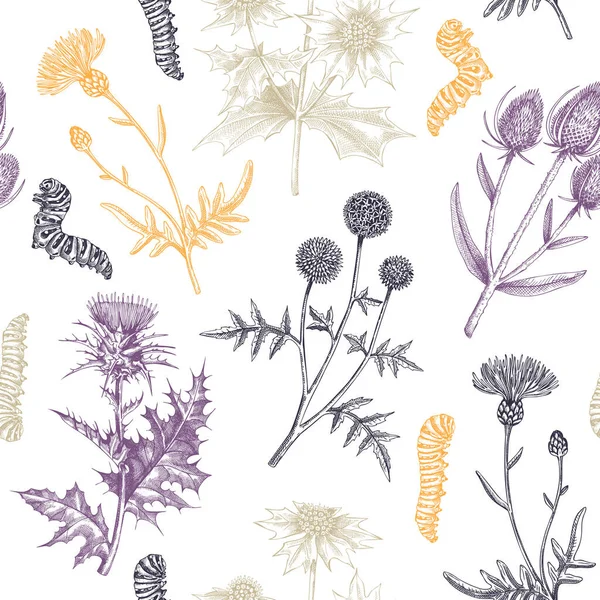 Summer Background Decorative Thistle Plants Texture Sketch Style Hand Drawn — Stock Vector