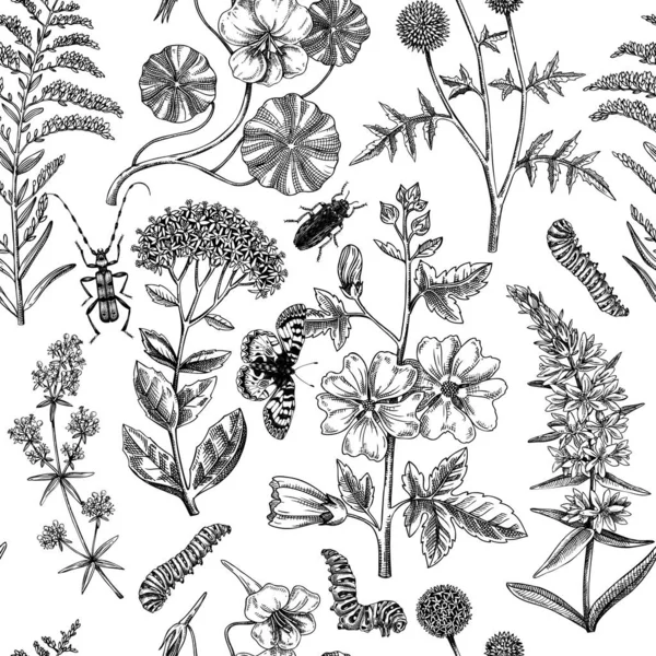 手绘夏季背景 有昆虫图案的花园开花植物 植物无缝图案 纺织品 包装的植物学图解 报春花 茴香草图 — 图库矢量图片