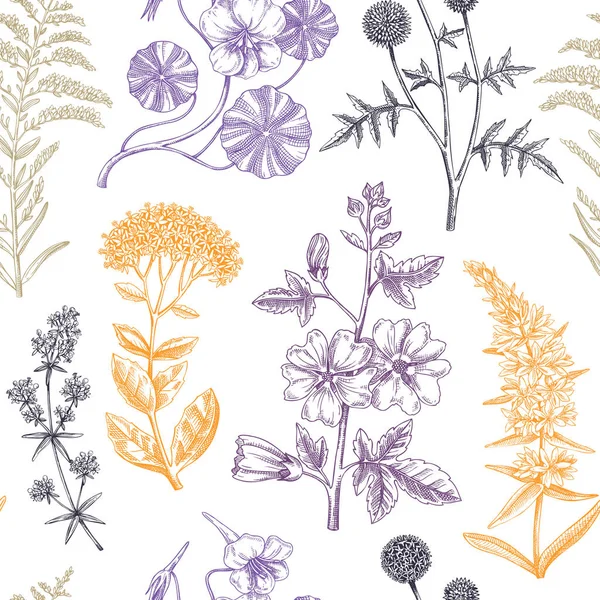 夏の背景を描いた手 庭の開花植物はスケッチスタイルでデザインします 花のシームレスなパターン ファブリック 包装用植物イラスト ハイビスカス セダム モロー プリムローズ — ストックベクタ