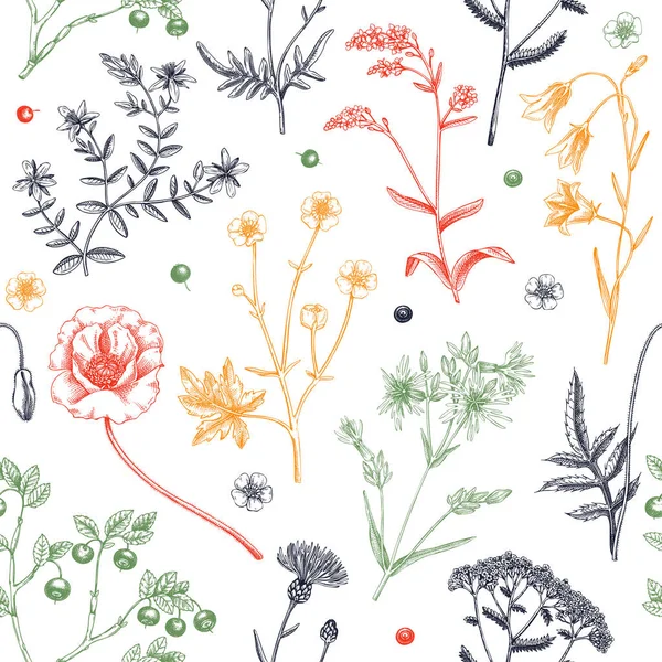 Sommer Hintergrund Mit Blumen Und Beeren Wildblumen Nahtloses Muster Skizzenstil — Stockvektor
