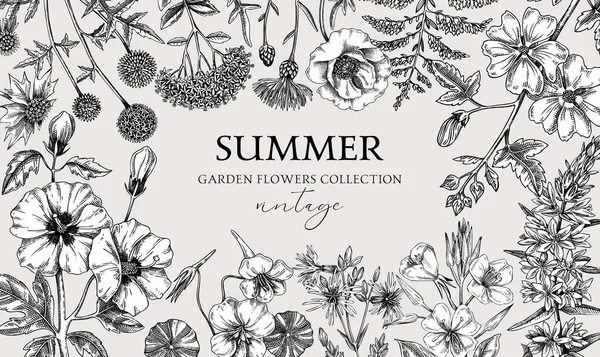 ヴィンテージの夏の背景 庭の花のフレームのデザインのスケッチスタイルです 手描きの植物イラスト カード ポスター用の花のバナー — ストックベクタ