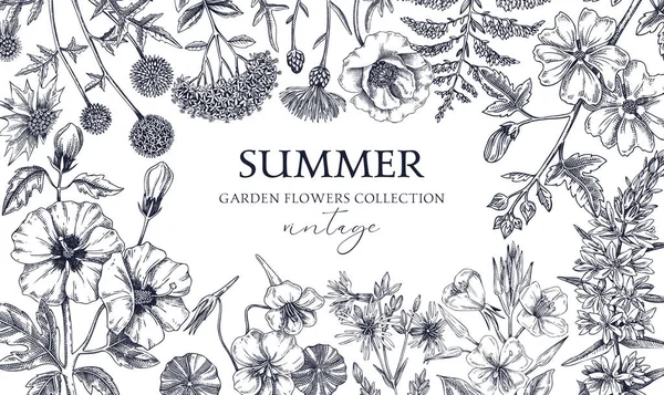 夏の背景を描いた手 庭の花のフレームのデザインのスケッチスタイルです 白を基調としたヴィンテージの植物イラスト カード ポスター用の花のバナー — ストックベクタ