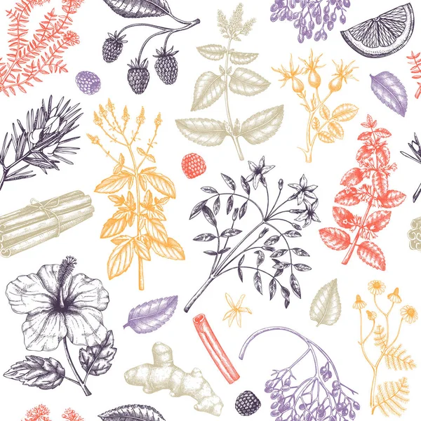 手绘茶料背景为彩色 草本植物 水果和浆果的矢量草图 雕刻风格 纺织品 包装用草茶无缝图案 — 图库矢量图片