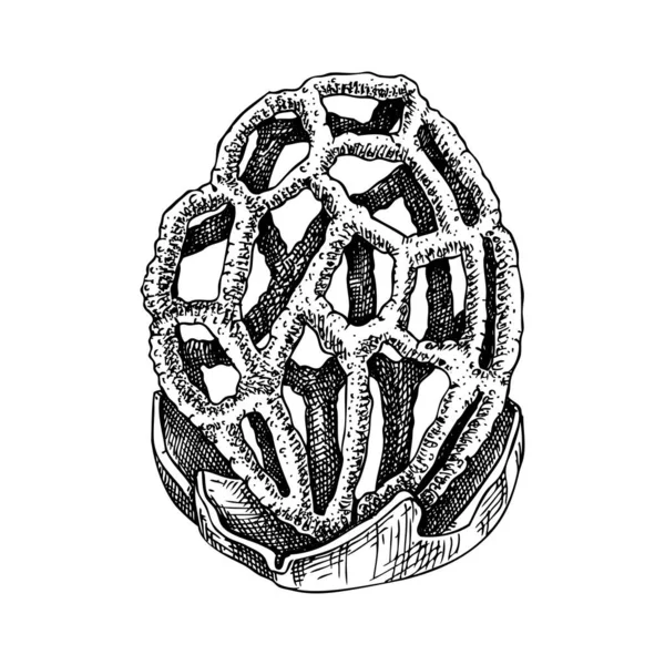 Een Grillige Schets Van Stinkhoornpaddenstoelen Giftige Schimmel Illustratie Handgetekende Bosplant — Stockvector
