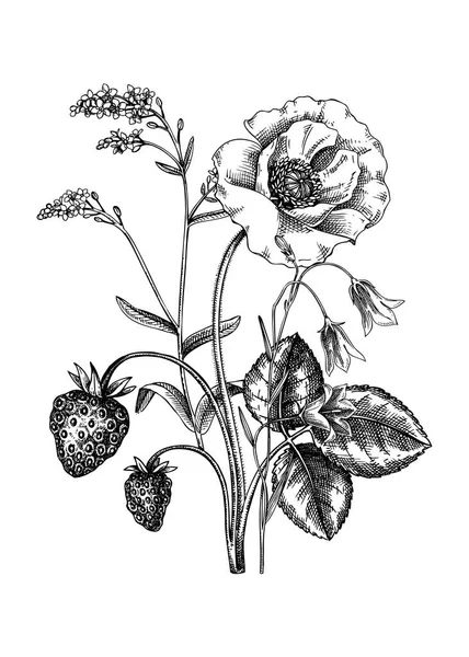Sommerblumenstrauß Skizzenstil Botanische Zeichnungen Mit Erdbeere Blauglocke Mohn Und Vergissmeinnicht — Stockvektor