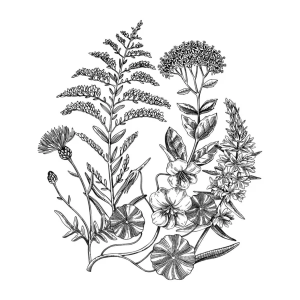 夏花素描花束 植物绘画用金棒 旧式野花手绘图解 用于婚礼请柬或装饰 — 图库矢量图片