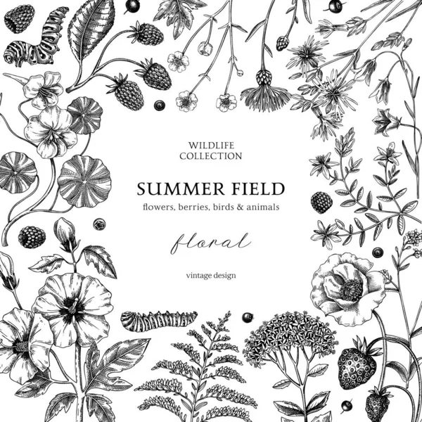 Θερινό Φόντο Χρώμα Floral Σχέδιο Καρέ Στυλ Σκίτσο Βοτανικές Ζωγραφιές — Διανυσματικό Αρχείο