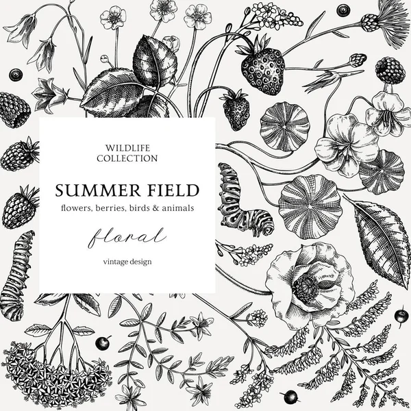 Geschetste Zomerachtergrond Floral Frame Design Vinatge Stijl Wildbloemen Botanische Illustratie — Stockvector