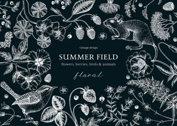 Vintage Sommer Hintergrund Florales Banner Design Tierskizzen Auf Kreidetafel Botanische — Stockvektor