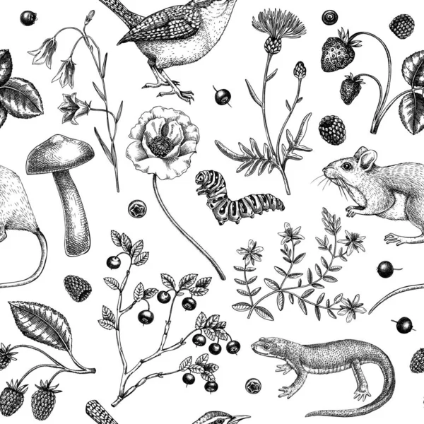 Fond Estival Conception Texture Florale Esquisses Animalières Fleurs Sauvages Motif — Image vectorielle