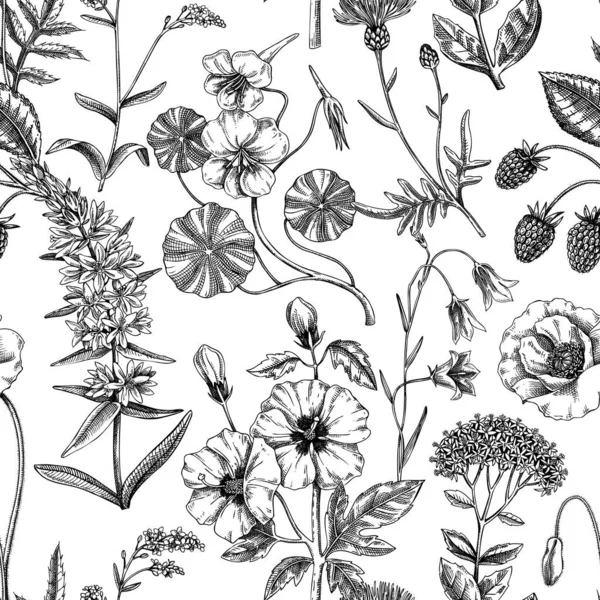 Handgezeichneter Sommerhintergrund Florales Texturdesign Skizzierte Wildblumen Nahtloses Muster Vektorillustration Des — Stockvektor