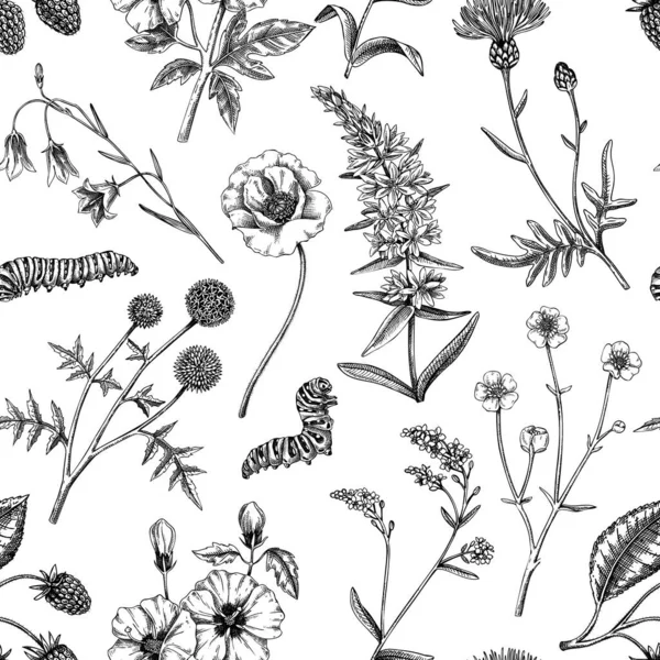 Handgetekende Zomerachtergrond Retro Bloemen Textuur Ontwerp Getekende Wilde Bloemen Naadloos — Stockvector