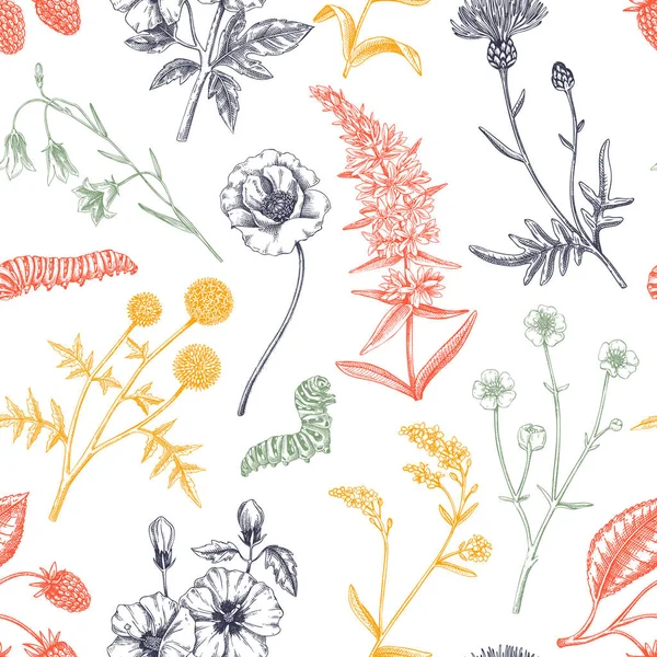 Handgetekende Zomerachtergrond Bloemen Textuur Ontwerp Kleur Getekende Wilde Bloemen Naadloos — Stockvector