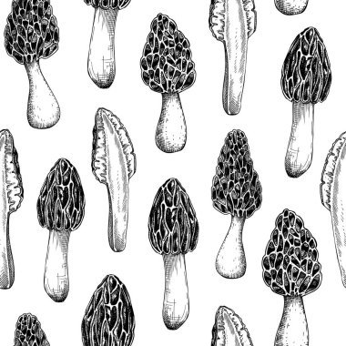 Morel mantar arka planı. Yenilebilir, dikişsiz mantar deseni. Morchella renkli mantar tasarımı. Mantar proteini, micoprotein kaynağı, sağlıklı yiyecekler, bitki bazlı et, klasik illüstrasyonun yerini alıyor  