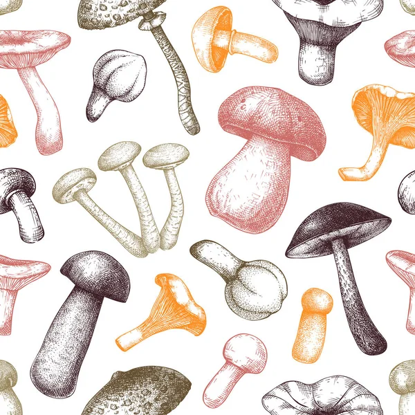 Funghi Commestibili Modello Senza Cuciture Sfondo Cibo Disegnato Mano Colori — Vettoriale Stock