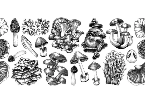 蘑菇无缝图案 艺术的秋天森林植物边界 秋天背景与可食真菌草图 手绘健康食品 真菌蛋白载体图解 印刷品的重复设计 — 图库矢量图片
