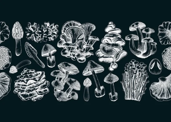 蘑菇无缝图案 艺术的秋天森林植物边界 秋天背景与可食真菌草图 手绘健康食品 真菌性蛋白质在黑板上 印刷品的重复设计 — 图库矢量图片