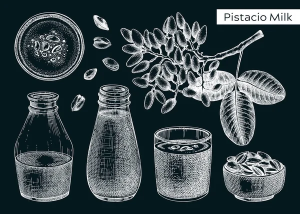 梨子奶素描集 在黑板上为素食主义者提供的有机乳蛋白产品 开心果植物分枝 坚果在碗中 牛奶在玻璃瓶中的病媒图解 健康食品和饮料 — 图库矢量图片