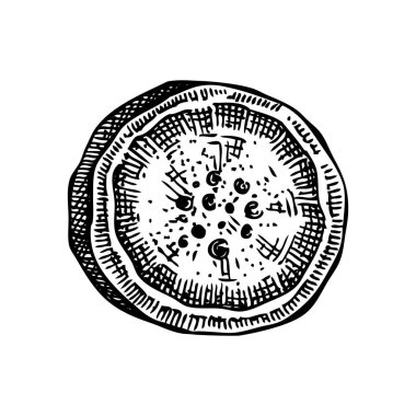 Mor Yam ya da kanatlı yer elması ya da yer elması çizimi seti. Ube 'nin vektör illüstrasyonu karatahtada izole edildi. Filipinli mutfak malzemeleri, vejetaryen ürünleri tasarım elementleri 