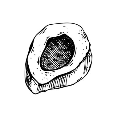 Et eskiziyle büyük bir kemik parçası. Pişmiş kemik, beyaz arka planda izole edilmiş. Kasaplık, yemek tarifleri ve menü için klasik tarzda elle çizilmiş sağlıklı besinler.. 