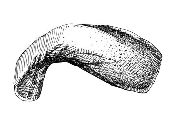 Hand Drawn Beef Tongue Sketch Internal Organs Farm Animal Drawings — Stock Vector