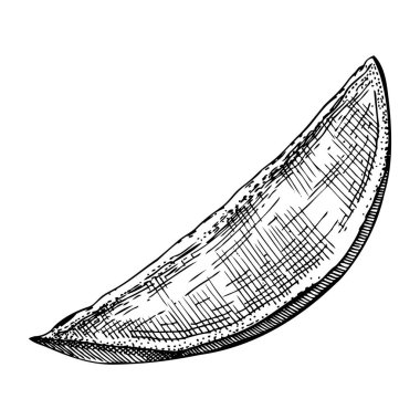 El yapımı mango çizimi. Beyaz arka planda izole edilmiş tropik meyve vektör çizimi. İşlenmiş mango şeklinde dilimlenmiş. Etiket, meyve suyu ambalajı tasarımı, menü için botanik çizimi