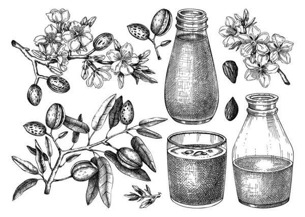 アーモンドミルクセット 乳製品のデザイン要素 ガラス ボトル アーモンドナット 葉と花のスケッチで咲く枝にミルクを植えます ナットミルク 包装のための健康的な飲み物ベクターのイラスト — ストックベクタ