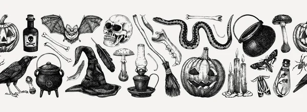 古老的万圣节矢量边界 毒蘑菇 乌鸦的草图 手绘巫术背景 魔术设计 印刷用无缝图案 — 图库矢量图片
