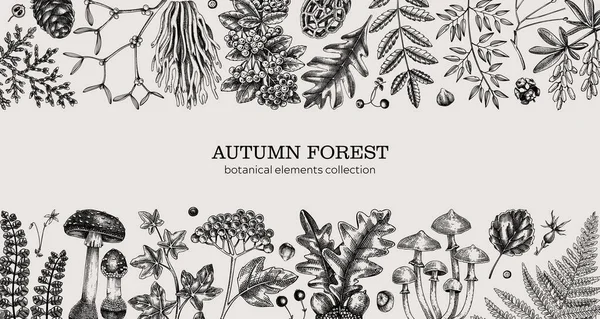 Ручной Рисунок Осеннего Леса Винтажное Знамя Папоротниками Грибами Осенними Листьями Векторная Графика
