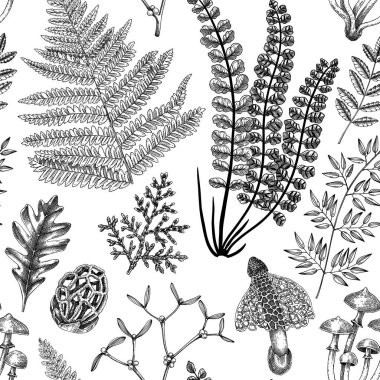 Eğreltiotu yaprağı, mantar, sonbahar yaprakları ve sonbahar bitkisi eskizleriyle vektörsüz desen. Tek renkli botanik yineleyici doku. El çizimi sonbahar ormanı arka planı. Yazdırma için klasik doğa tasarımı