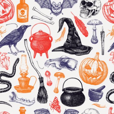 Cadılar Bayramı kusursuz. El çizimi vektör çizimi. Kurukafalar, kemikler, balkabağı, zehirli mantarlar, yılanlar, kuzgun çizimleri. Sonbahar tatili geçmişi. Cadılar Bayramı tasarım elemanları
