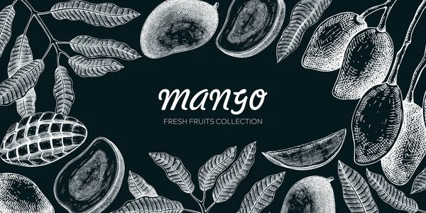 Mangohintergrund Exotische Früchte Handgezeichnete Vektorillustration Mangofrüchte Äste Blätterskizzen Auf Kreidetafeln — Stockvektor