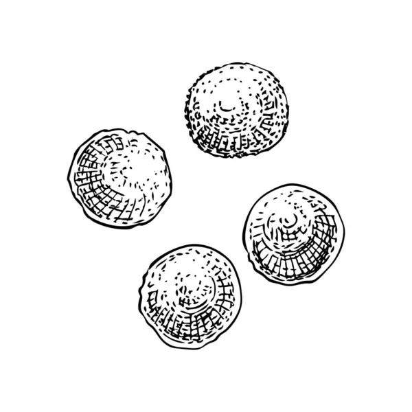 Ensemble Croquis Boules Massepain Illustration Vectorielle Main Dessins Bonbons Massepain — Image vectorielle