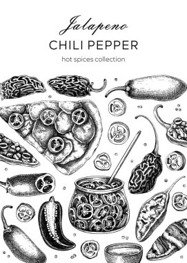  Meksika mutfağı menüsü restoran tasarım şablonu. Olgun biberli biber çizimleri. Sıcak baharatlar, vejetaryen, sağlıklı yemek elle çizilmiş vektör çizimi. Dilimler ve paketleme için tohumlar ile Jalapeno