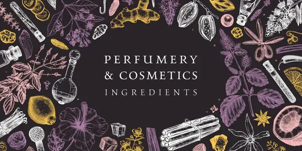 Parfüm Kozmetik Malzemeleri Pankartı Çiçek Meyve Baharat Bitki Taslakları Çizimi Vektör Grafikler