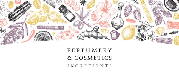 Parfüm Kozmetik Malzemeleri Pankartı Çiçek Meyve Baharat Bitki Taslakları Çizimi Stok Illüstrasyon