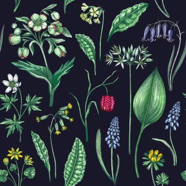 Bahar çiçekleri pürüzsüz desen. Yabani çiçeklerin geçmişi. Orman bitkisi, yeşillik, yabani çiçek eskizleri. El çizimi vektör çizimi. El yapımı değil.