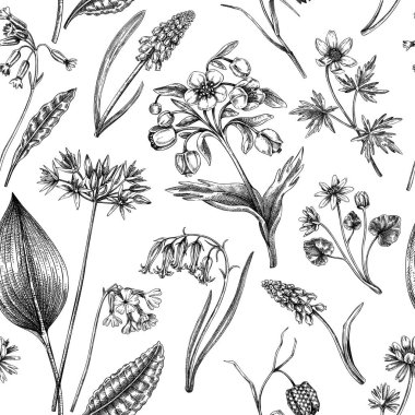 Bahar çiçekleri pürüzsüz desen. Yabani çiçeklerin geçmişi. Orman bitkisi, yeşillik, yabani çiçek eskizleri. El çizimi vektör çizimi. El yapımı değil.