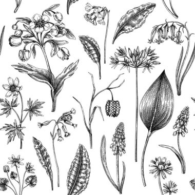 Bahar çiçekleri pürüzsüz desen. Yabani çiçeklerin geçmişi. Orman bitkisi, yeşillik, yabani çiçek eskizleri. El çizimi vektör çizimi. El yapımı değil.