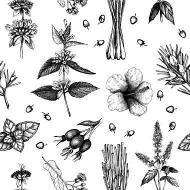 Kusursuz bir desen. Bitkisel çay arka planı. Şifalı bitkiler eskizleri. El çizimi vektör çizimi. Yapay zeka oluşturulmadı