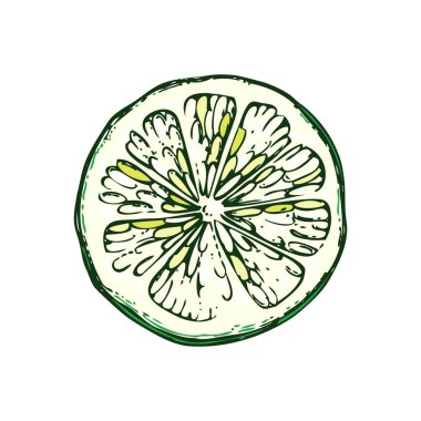 Kireç rengi meyve eskizi. Meyve dilimi elle çizilmiş vektör çizimi. Suluboya tarzında egzotik bitki çizimi. Botanik tasarım elementi. Yapay zeka oluşturulmamış