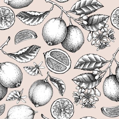 Limonlu, dikişsiz desen. Citrus meyve çizimleri. Botanik geçmişi. Egzotik bitki dokusu. El çizimi vektör çizimi. Yapay zeka oluşturulmadı