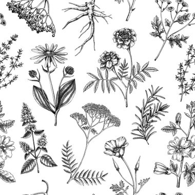 Apothecary plant background. Medicinal herbs seamless pattern. Herbal remedies, natural medicine, Healing plants sketches. Hand-drawn vector illustration.NOT AI genereted clipart
