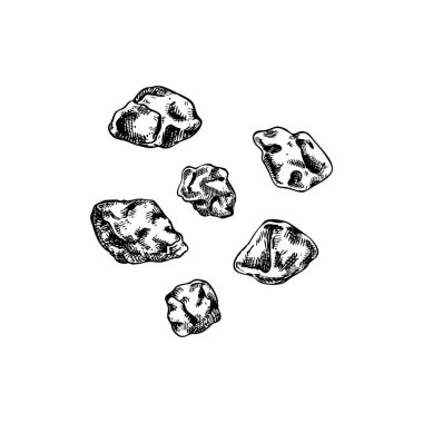 Organik reçine skeci. Kristalize edilmiş reçine vektör çizimi. Aromatik tasarım elementi. El yapımı parfüm, kozmetik, apotesepsiyon, cadılık malzemeleri. Yapay zeka oluşturulmadı