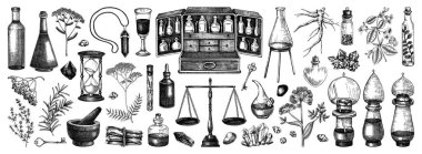 Vinatge eczacı el yapımı vektör çizimleri. Antika eczacı kutusu, pullar, cam eşyalar, şifalı bitkiler ve şifalı bitkiler. Yapay zeka oluşturulmadı