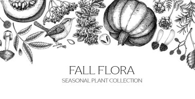 Klasik sonbahar arkaplanı. Sonbahar yaprakları, balkabakları, böğürtlen, mantar eskizleri. Botanik sınırı. El çizimi vektör çizimi Yapay Zeka oluşturulmadı