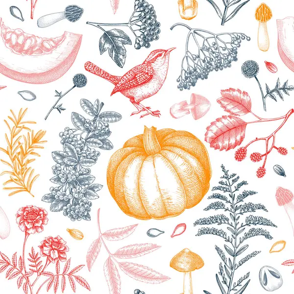 Klasik sonbahar dikişsiz desen. Şükran Günü geçmişi. Sonbahar yaprakları, balkabakları, böğürtlen, mantar eskizleri. El çizimi vektör çizimi. Yapay zeka oluşturulmadı