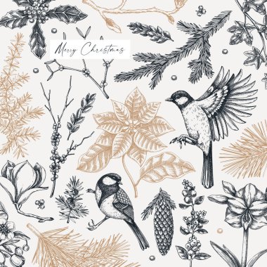 Klasik Noel kartı tasarımı. Kış botanik geçmişi. Kozalaklı ağaçlar, kış çiçekleri, kuşlar. El çizimi vektör çizimi. Yapay zeka oluşturulmadı